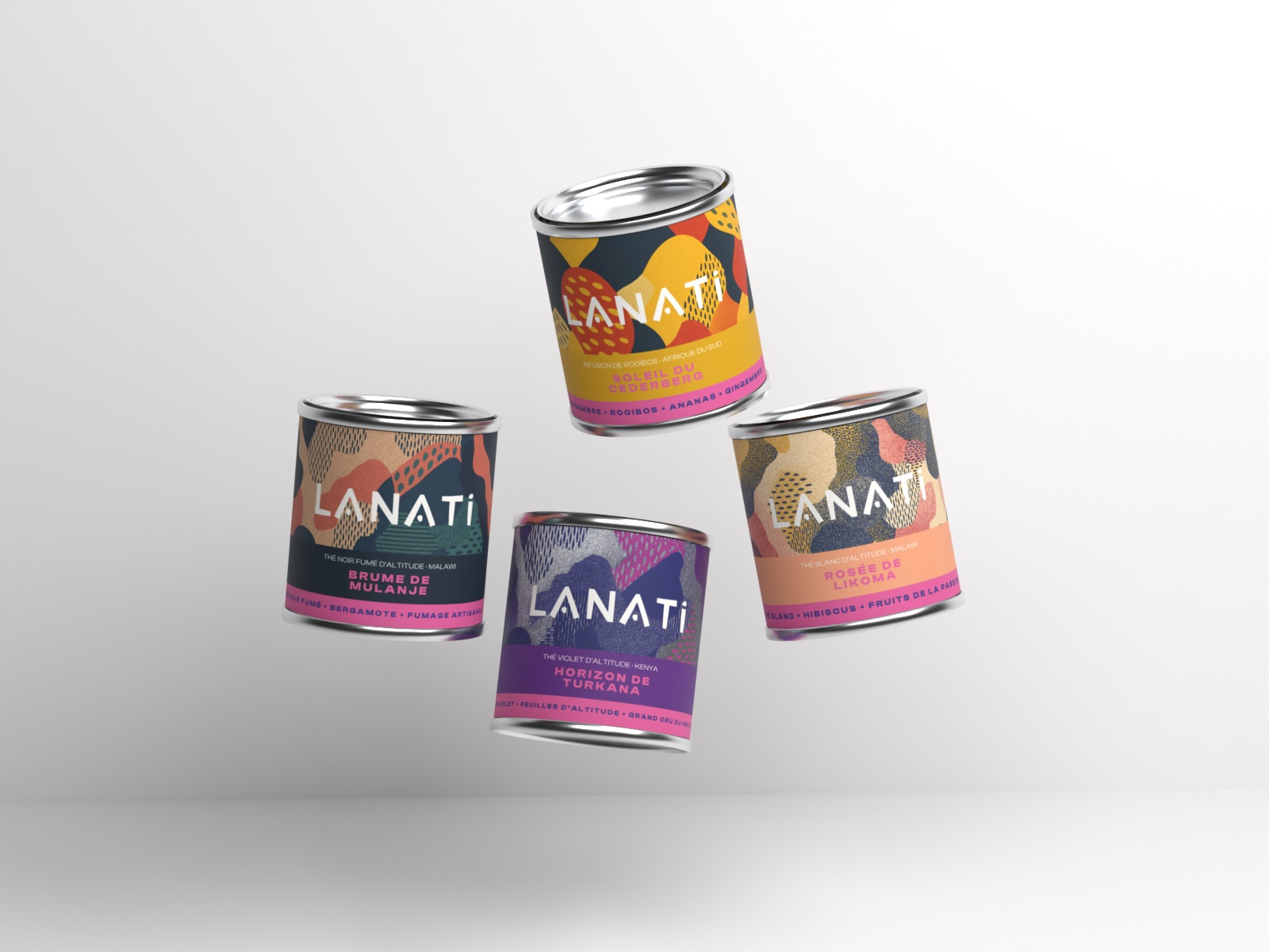 Rendu 3D multi-vues Lanati