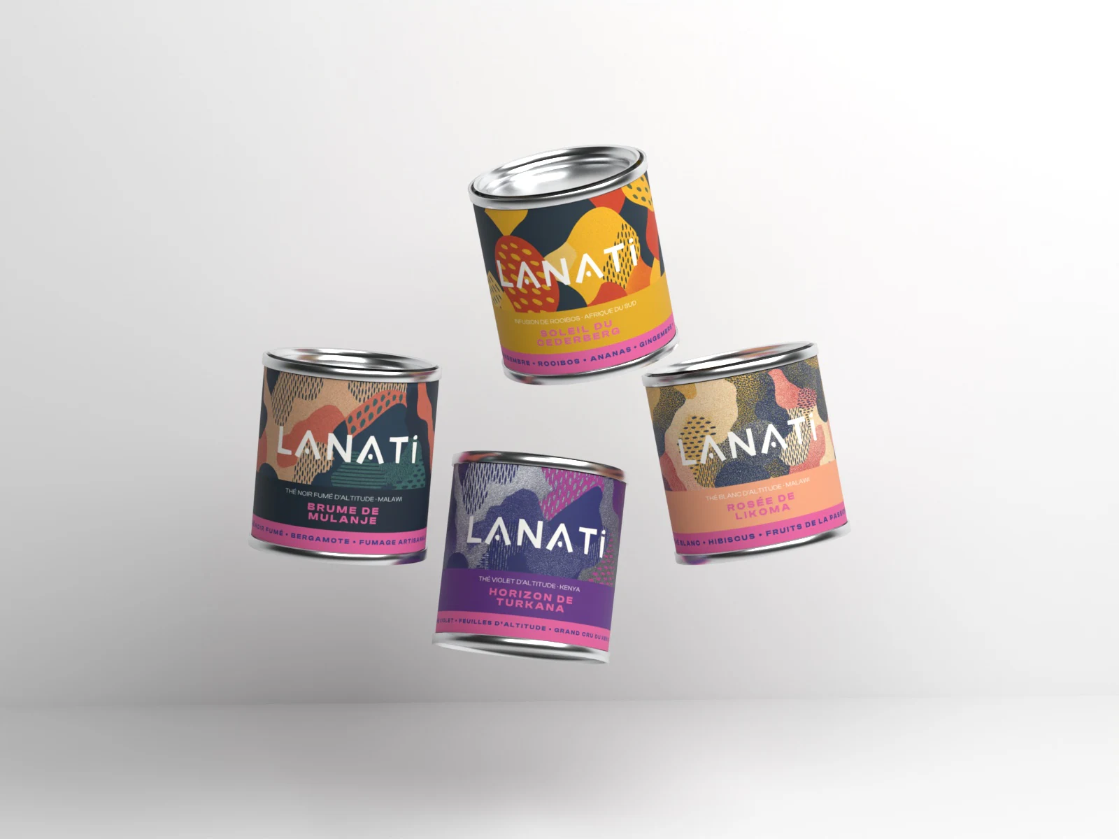 Rendu 3D multi-vues Lanati